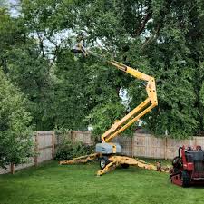  Hudson Bend, TX Tree Services Pros