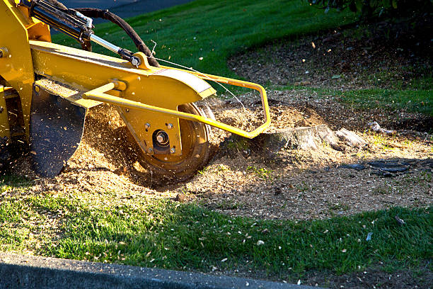 Lawn Irrigation Installation and Maintenance in Hudson Bend, TX