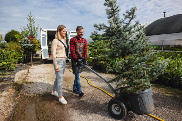 Best Pest Control for Lawns  in Hudson Bend, TX